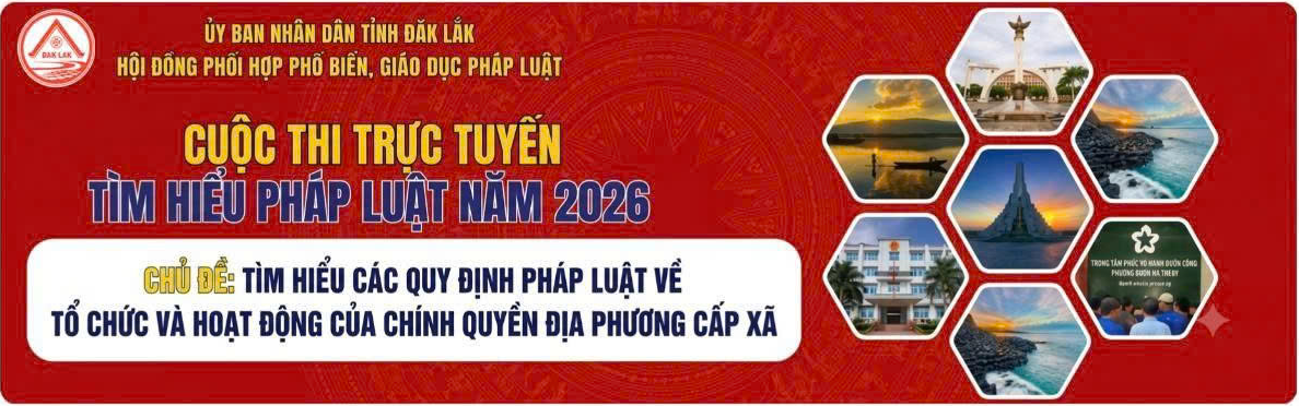 thitimhieuphapluat
