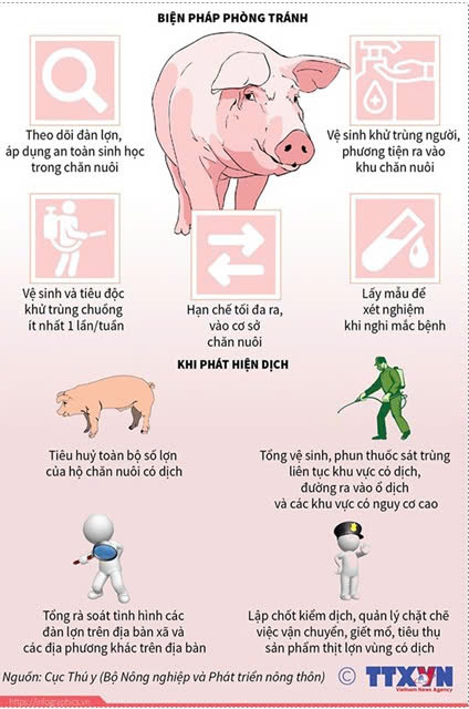 XỬ LÝ VI PHẠM TRONG PHÒNG CHỐNG DỊCH BỆNH TẢ LỢN CHÂU PHI