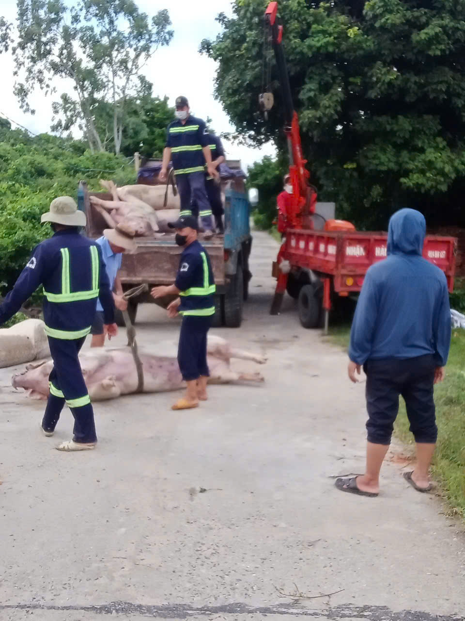TUYÊN TRUYỀN VỀ PHÒNG CHỐNG BỆNH DỊCH TẢ LỢN CHÂU PHI