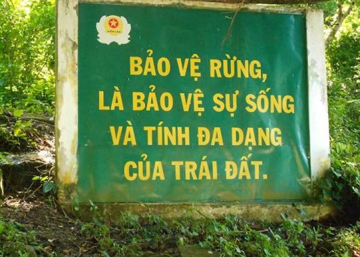 GIỮ RỪNG – TRÁCH NHIỆM KHÔNG CỦA RIÊNG AI